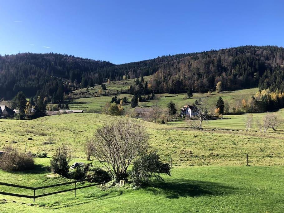 Ferienwohnung Schwarzwald Loft Menzenschwand-Hinterdorf Exterior foto